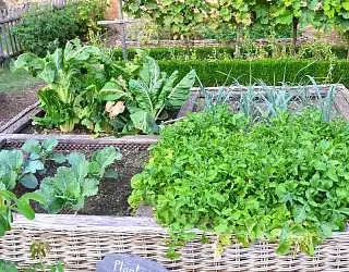 La permaculture : comment ça marche ?