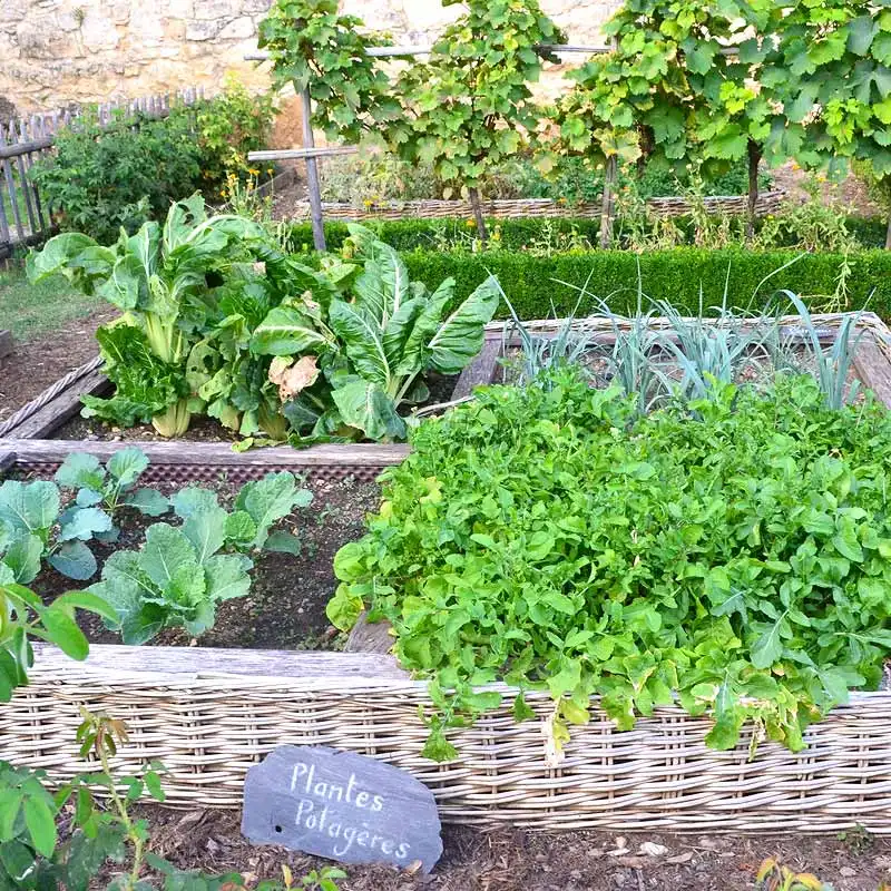 La permaculture : comment ça marche ?