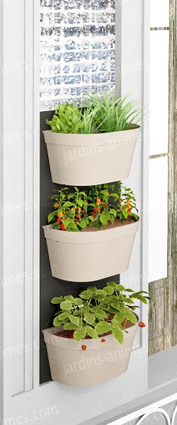 Bac à potagers suspendus. Cultivez plantes et aromatiques contre votre mur !