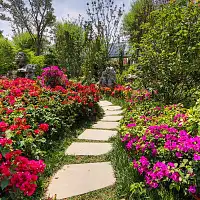 Pourquoi utiliser des pas japonais ?