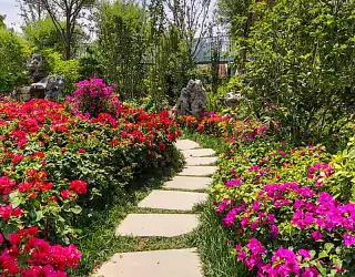 Pourquoi utiliser des pas japonais ?