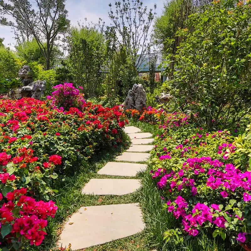 Pourquoi utiliser des pas japonais ?