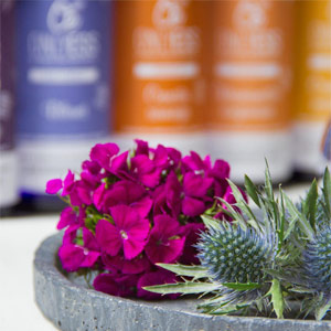Produits de beauté 100% végétal et bio de fabrication artisanale française Produits de beauté 100% végétal et bio de fabrication artisanale française
