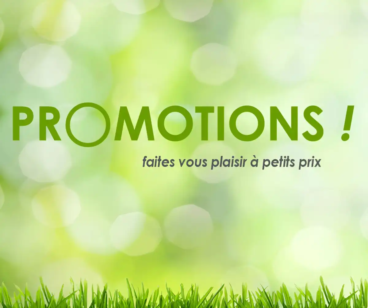 Offres exceptionnelles maison, jardin et déco