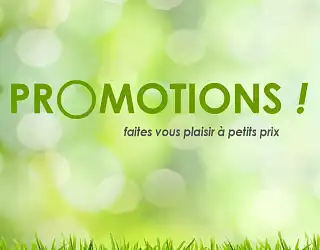 Offres exceptionnelles maison, jardin et déco