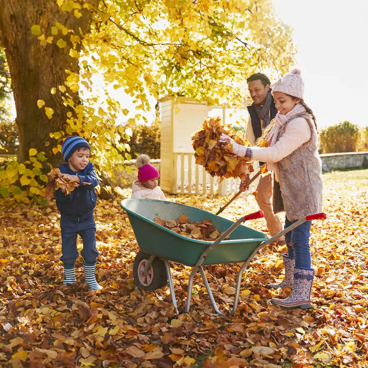 L’automne au jardin : que faire, où et à quel moment ?