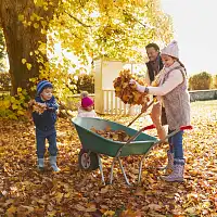 L’automne au jardin : que faire, où et à quel moment ?  L’automne au jardin : que faire, où et à quel moment ?