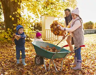 L’automne au jardin : que faire, où et à quel moment ?