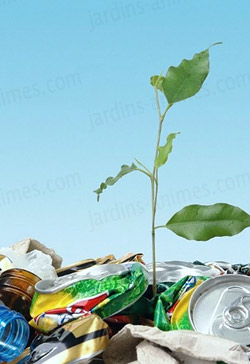 Le recyclage , un geste éco citoyen et profitable au jardin.