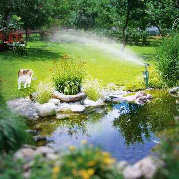 R&eacute;pulsif animaux canon &agrave; eau