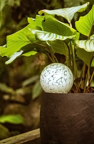 Réserve d'eau pour plante en verre