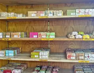 Portrait d'Artisan : Savon et Moi, Gisèle Guillaume