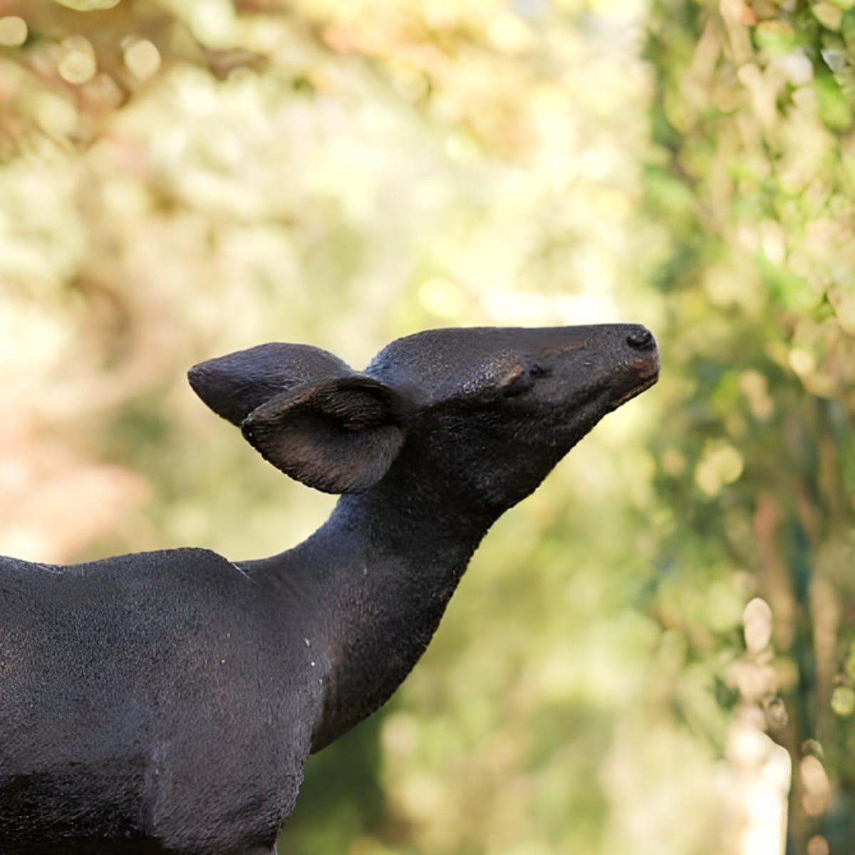 statue de faon pour décoration de jardin