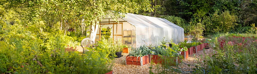 Comment prendre soin de sa serre ?