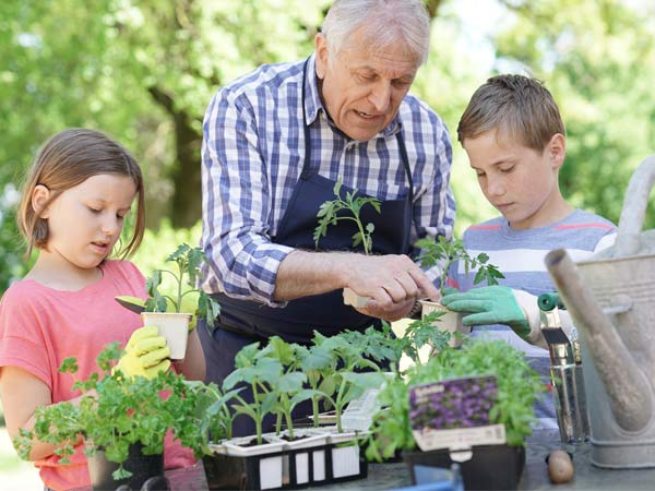 Solutions pour le jardinage des seniors