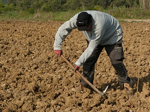 Soulager les douleurs articulaires dues au jardinage Soulager les douleurs articulaires dues au jardinage