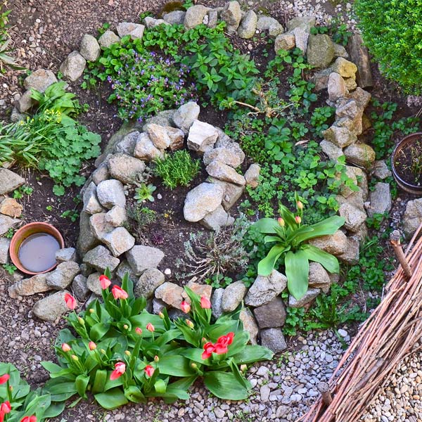 Faire une spirale d'herbes aromatiques en permaculture