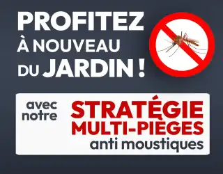 Pièges à moustiques extérieurs : la vraie stratégie efficace