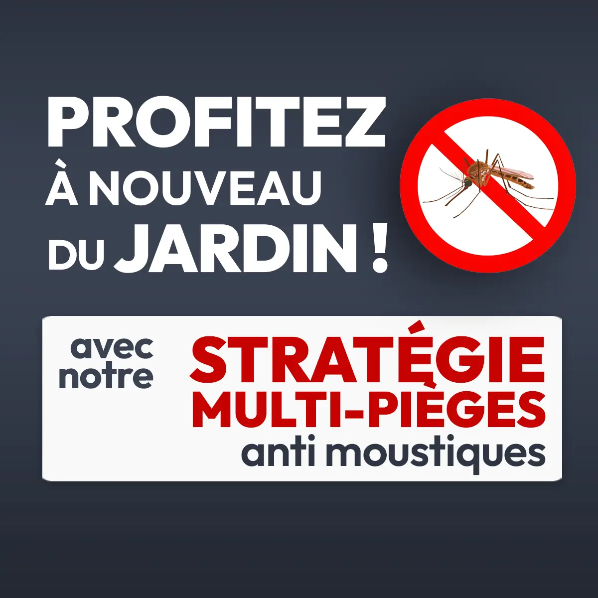 Pièges à moustiques extérieurs : la vraie stratégie efficace