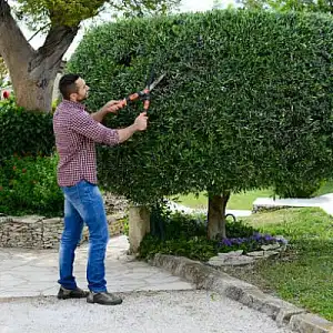 Quelles sont les aides pour le jardinage ?