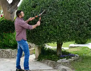 Quelles sont les aides pour le jardinage ?