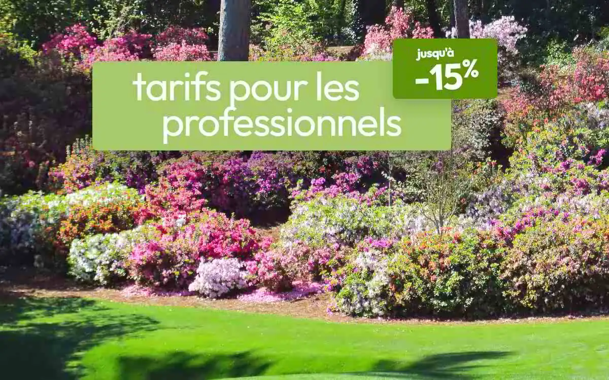 Offre Paysagistes et Professionnels du jardin