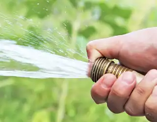 Quel arrosage pour le jardin ? Top 8 des systèmes d'arrosage automatique