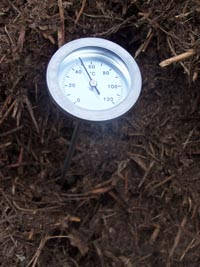 thermometre a compost