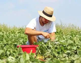 Fiches Conseils Traitements Naturels