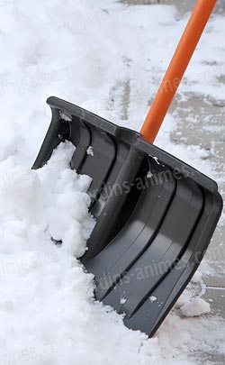 N'ayez plus froid aux mains en travaillant dans le jardin en hiver, avec ces gants doublés. N'ayez plus froid aux mains en travaillant dans le jardin en hiver, avec ces gants doublés.