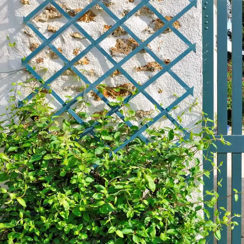 Choisir et installer un treillis de jardin  Choisir et installer un treillis de jardin