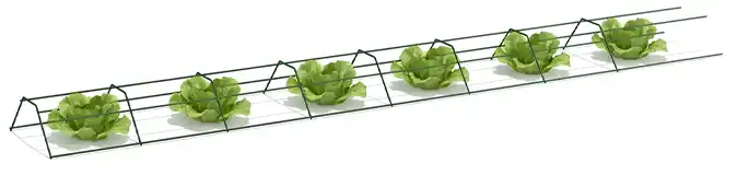 ce tuteur peut se positionner au sol pour prot&eacute;ger vos r&eacute;coltes ou soutenir vos fraises afin qu'elles ne touchent pas le sol