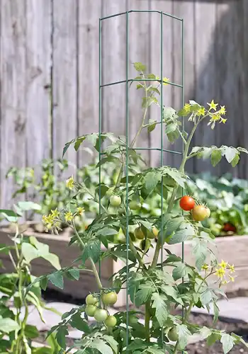 tuteur universel pour le jardin ou le potager