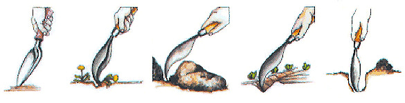 Illustration d'exemple d'utilisation du desherbeur cuillère