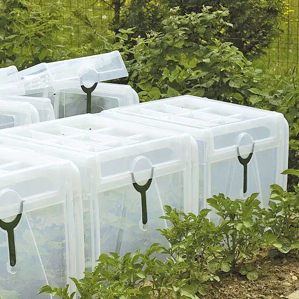 mini serre tunnel culture