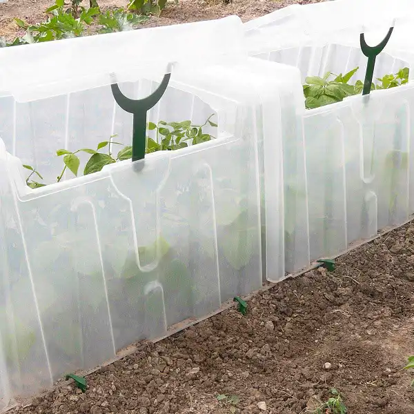 mini serre tunnel culture potager  mini serre tunnel culture potager