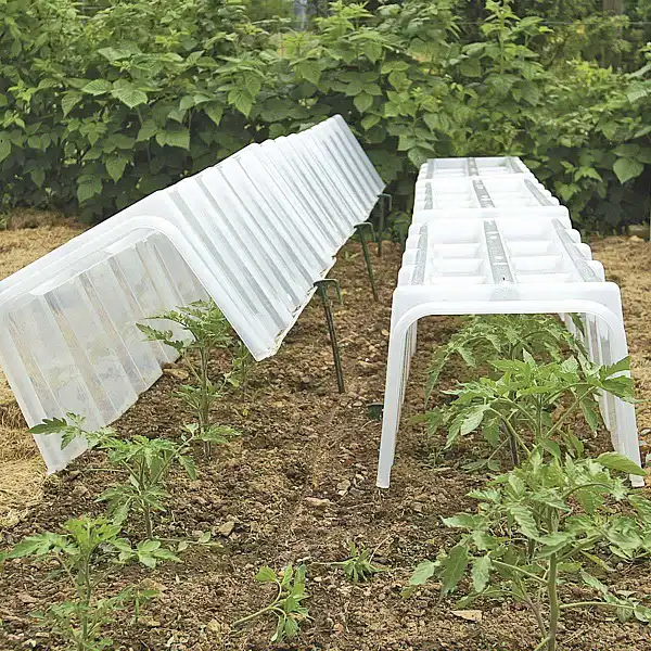 mini serre tunnel potager  mini serre tunnel potager