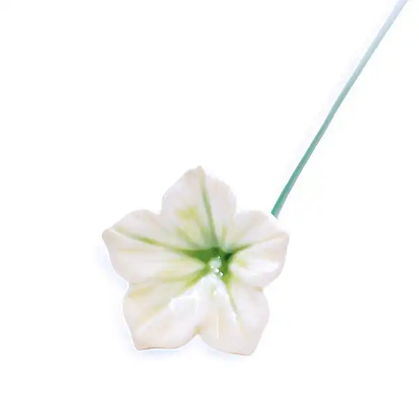 mirabilis blanche deco vase