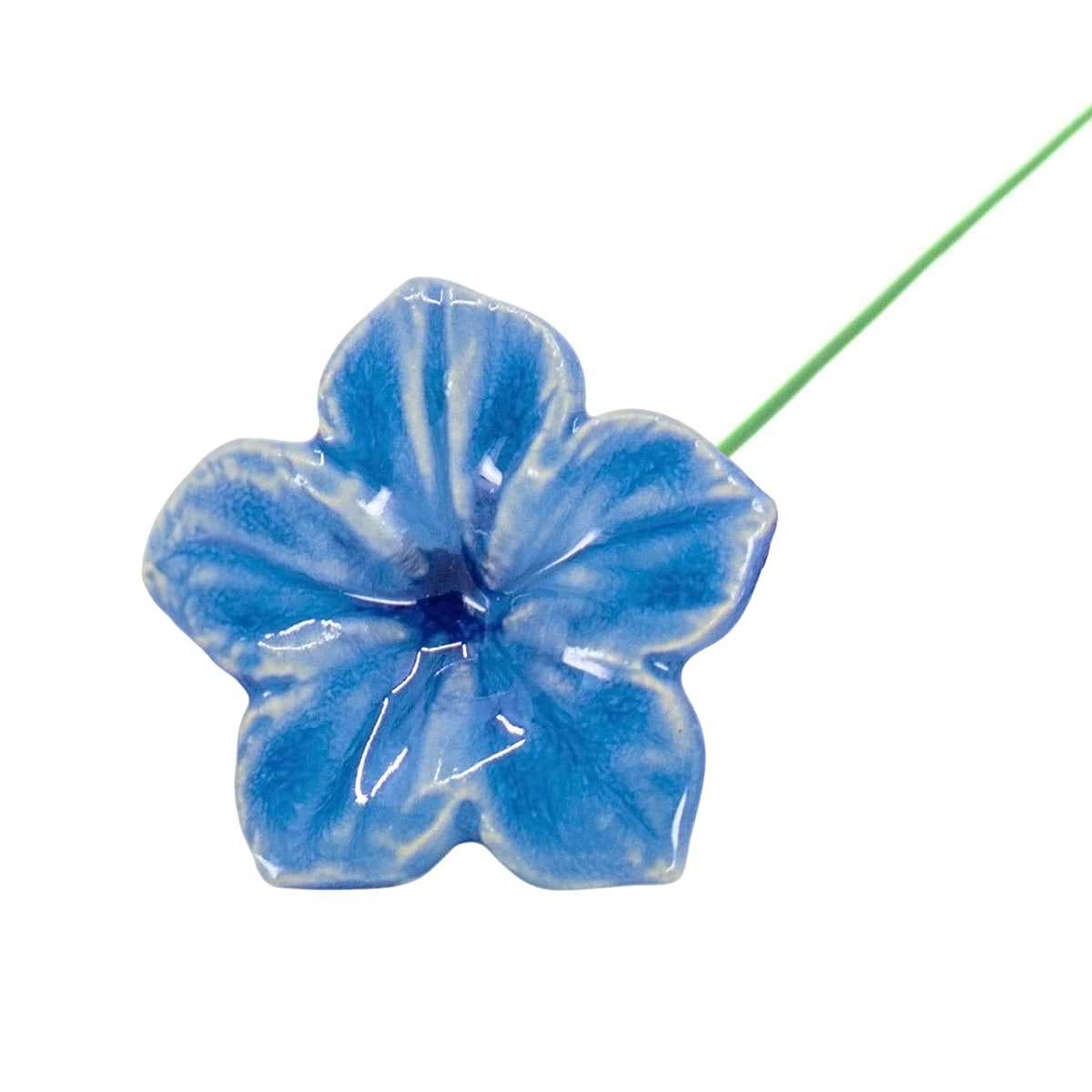 mirabilis bleu clair fleur deco vase
