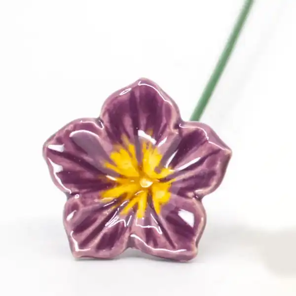 mirabilis fleur deco mauve
