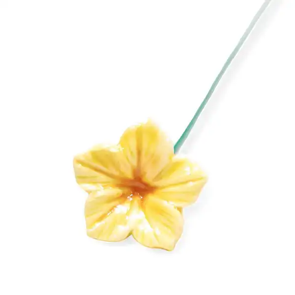 mirabilis jaune deco vase