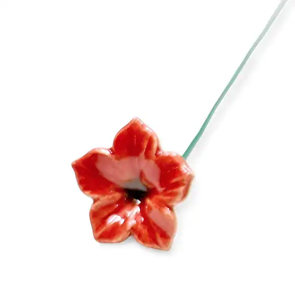 mirabilis rouge deco vase