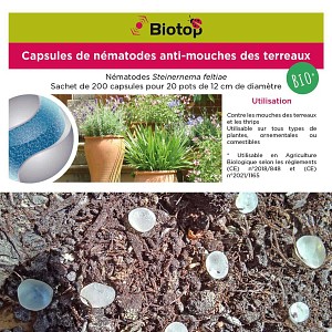 Nématodes Sf anti moucherons plantes vertes - 200 capsules