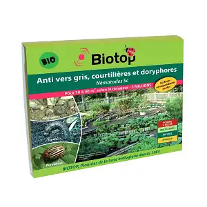 Nématodes anti Vers gris, Courtilières, Tipules, Noctuelles, Capnodes - 5 millions, 10m2 à 40m2