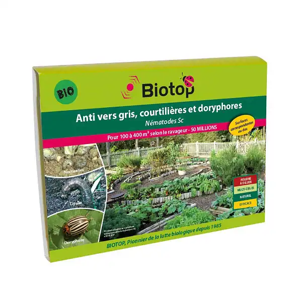 nematode anti vers gris doryphore 100 400 nematode anti vers gris doryphore 100 400