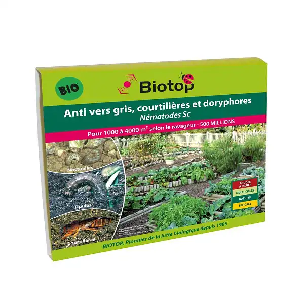 nematode anti vers gris doryphore 1000 4000 nematode anti vers gris doryphore 1000 4000