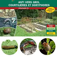 Nematodes Sc anti Vers Gris, Courtilières, Tipules, Noctuelles, Capnodes  Nematodes Sc anti Vers Gris, Courtilières, Tipules, Noctuelles, Capnodes