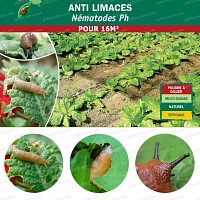 Nematode antilimace 16m2 traitement bio