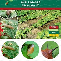 Anti Limaces Nematodes Ph lutte bio
