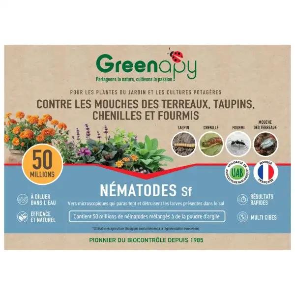 nematodes anti moucherons fourmis 50M